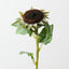 Sunflower Core (Set of 12)