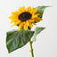 Sunflower (Set of 12)