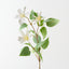 Clematis Spray (Set of 12)