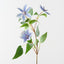 Clematis Spray (Set of 12)