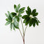 Pachira Leaf Spray (Set of 12)