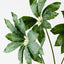 Pachira Leaf Spray (Set of 12)