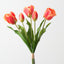Dutch Tulip Bundle (Set of 6)