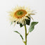 Sunflower (Set of 12)