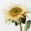Sunflower (Set of 12)