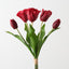 Dutch Tulip Bundle (Set of 6)