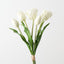 Dutch Tulip Bundle (Set of 6)