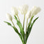 Dutch Tulip Bundle (Set of 6)