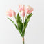 Dutch Tulip Bundle (Set of 6)
