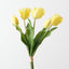 Dutch Tulip Bundle (Set of 6)