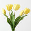 Dutch Tulip Bundle (Set of 6)