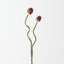 Allium Bud Spray (Set of 12)