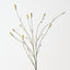 Burnet Spray (Set of 12)