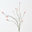 Burnet Spray (Set of 12)