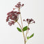 Angelica Spray (Set of 12)