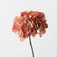 Hydrangea w/o Leaf (Set of 12 )
