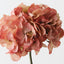 Hydrangea w/o Leaf (Set of 12 )