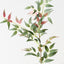 Italian Ruscus Spray (Set of 12)