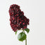 Cone Hydrangea (Set of 6)