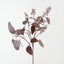 Eucalyptus Seed Spray (Set of 12)
