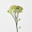 Sedum Spray (Set of 12)