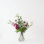 Clematis Stock Mix in Vase