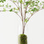 Enkianthus Leaf in Vase