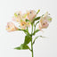 Alstromeria Spray (Set of 12)