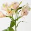 Alstromeria Spray (Set of 12)