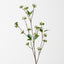 Wax Flower Spray (Set of 24)