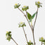 Wax Flower Spray (Set of 24)