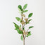 Jasmine Spray (Set of 12)
