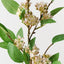 Jasmine Spray (Set of 12)