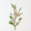 Jasmine Spray (Set of 12)