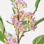 Jasmine Spray (Set of 12)