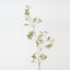 Sedum Spray (Set of 12)