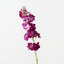 Stock Flower (Set of 12)