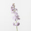 Stock Flower (Set of 12)