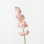 Stock Flower (Set of 12)