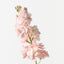 Stock Flower (Set of 12)
