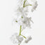 Stock Flower (Set of 12)