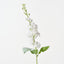 Stock Flower (Set of 12)
