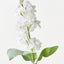 Stock Flower (Set of 12)