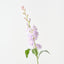 Stock Flower (Set of 12)