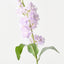 Stock Flower (Set of 12)