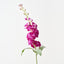 Stock Flower (Set of 12)