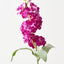 Stock Flower (Set of 12)