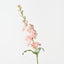 Stock Flower (Set of 12)