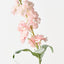 Stock Flower (Set of 12)