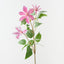 Clematis Spray (Set of 12)